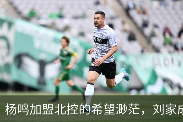 杨鸣加盟北控的希望渺茫，刘家成或将延续外教传统